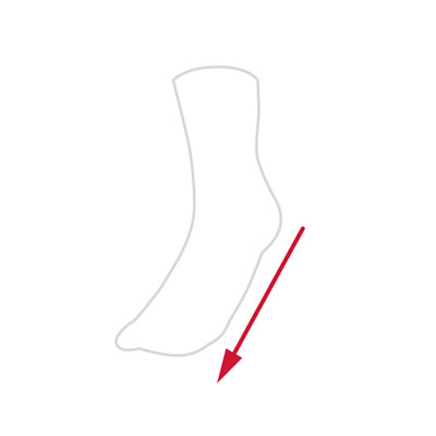 Ankle line drawing