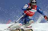 ACL Injuries in Skiers